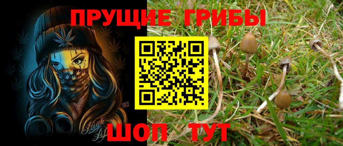 Меф кристаллы  Канабис  Кохма  Вход с VPN  Экстази  Кокаин  А ПВП СОЛЬ  