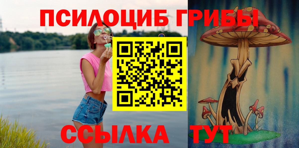 Кохма  что такое   Вход с VPN  Псилоцибиновые грибы Magic Shrooms  Псилоцибиновые грибы мицелий 